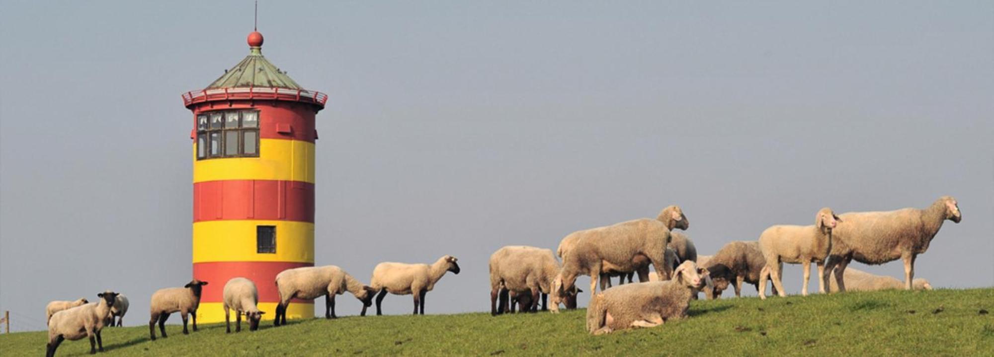 Appartamento Vogelnest Hage Esterno foto